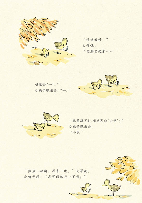 小步走路 (08),绘本,绘本故事,绘本阅读,故事书,童书,图画书,课外阅读